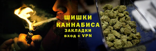 прущие грибы Богородск