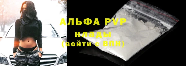 шишки Снежногорск