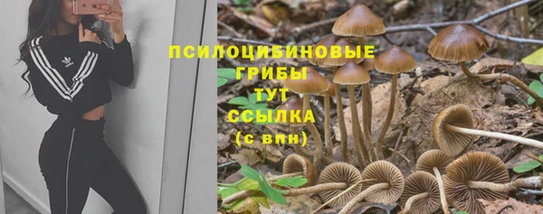 каннабис Богданович