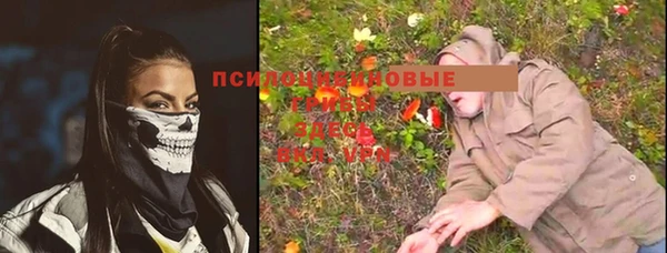 каннабис Богданович